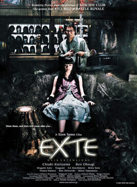 Exte Hair Extensions