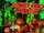 Donkey Kong Country