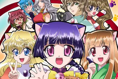 Magical Meow Meow Taruto - Wikipedia