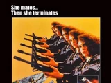 Lady Terminator