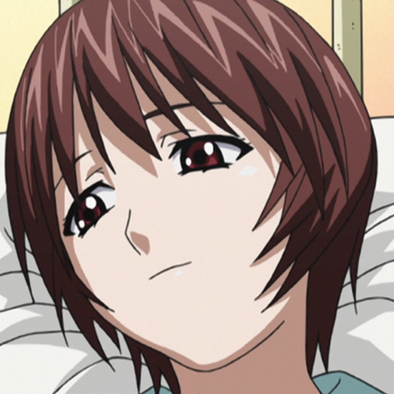 Elfen Lied, Wikia Liber Proeliis