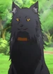 Alex (Black Summoner)