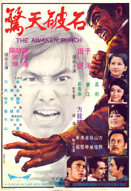 TheAwakenPunch