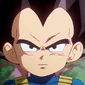Vegeta-DBD