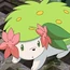 Pkmn M11 Shaymin Land