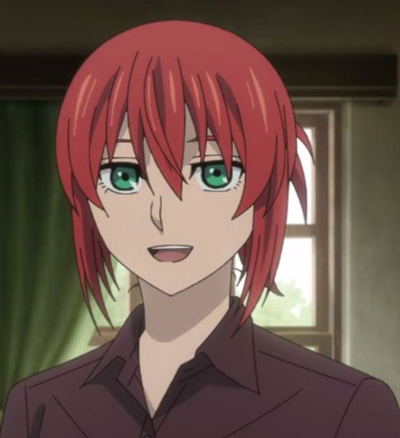 Chise Hatori/Gallery in 2023  Ancient magus bride, Aesthetic anime, Anime