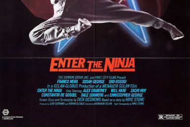 A Retrospective: Cannon Ninja Films Part 1: The Kosugi Trilogy 