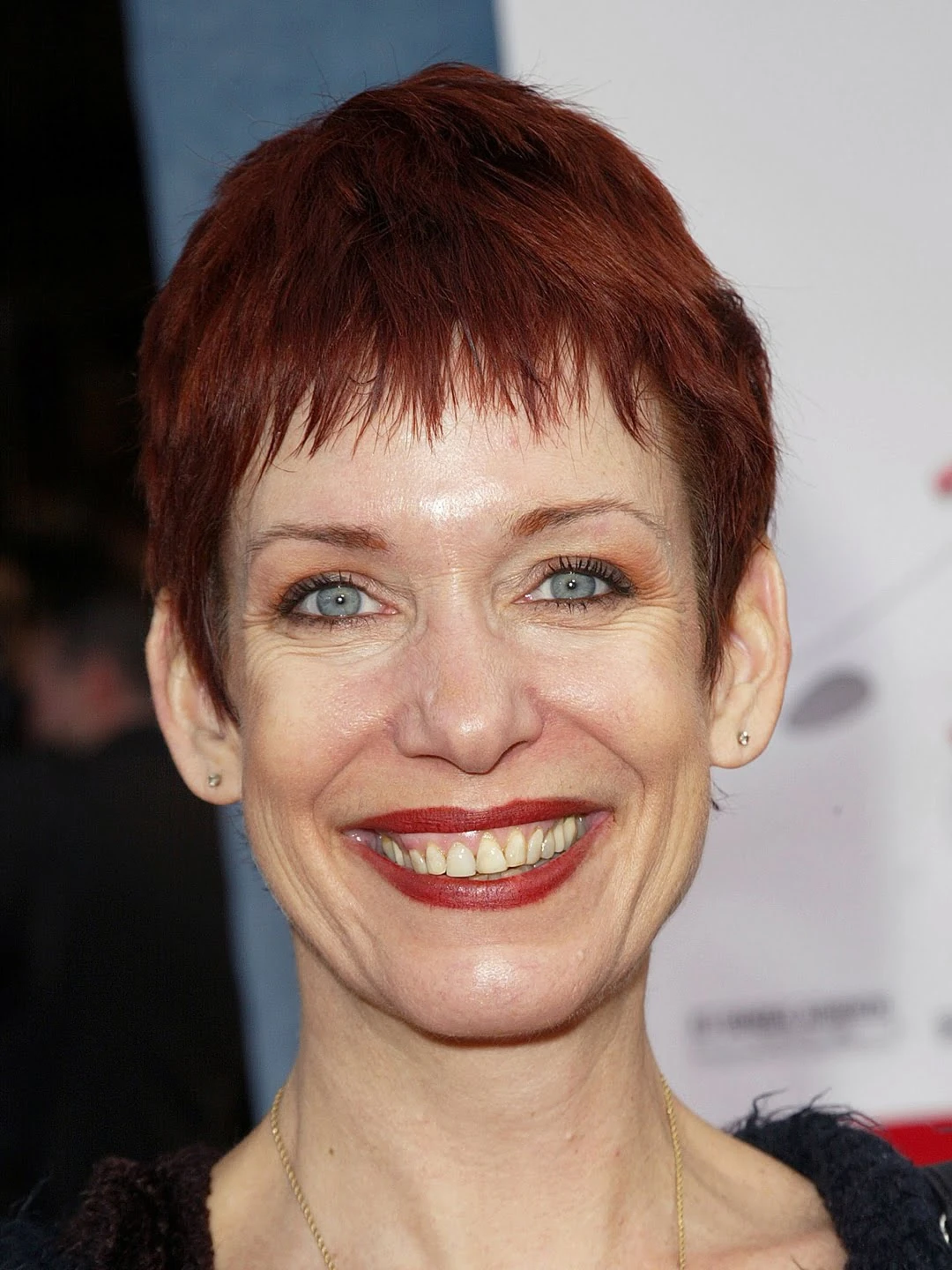 Susanne Blakeslee Dubbing Wikia Fandom Latest