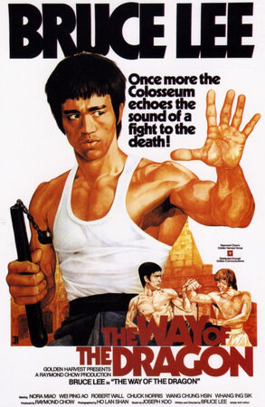 Bruce lee dubbed cheap
