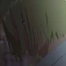Vash The Stampede (Eriks) (TS)