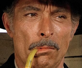 For A Few Dollars More Dubbing Wikia Fandom