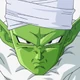Piccolo1