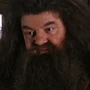 Hagrid na franquia Harry Potter