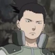 Shikamaru Nara (NoF-ALdPdG)