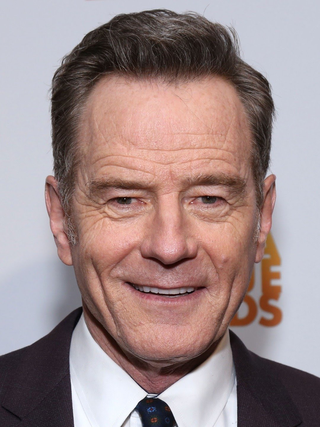 Bryan Cranston Dublapédia Fandom