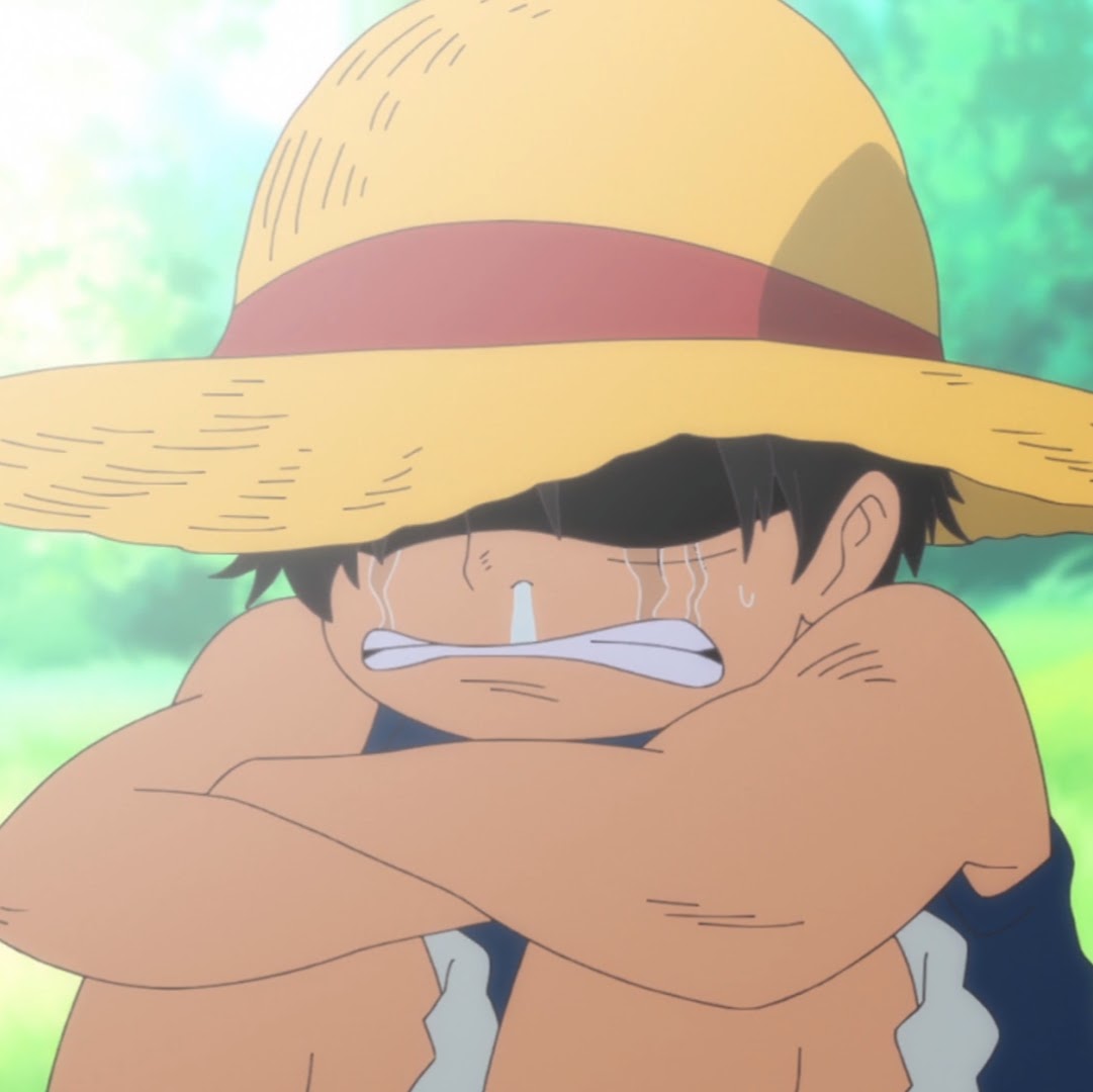 One Piece: Dubladores celebram trabalho no milésimo episódio do anime