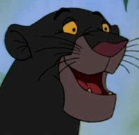 Bagheera