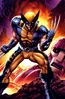 Wolverine Poster.png (1,38 MB) Logan / Wolverine