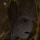 Groot adolescente (GdGV2)
