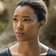 Sasha (TWD)
