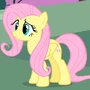 Fluttershy na franquia My Little Pony