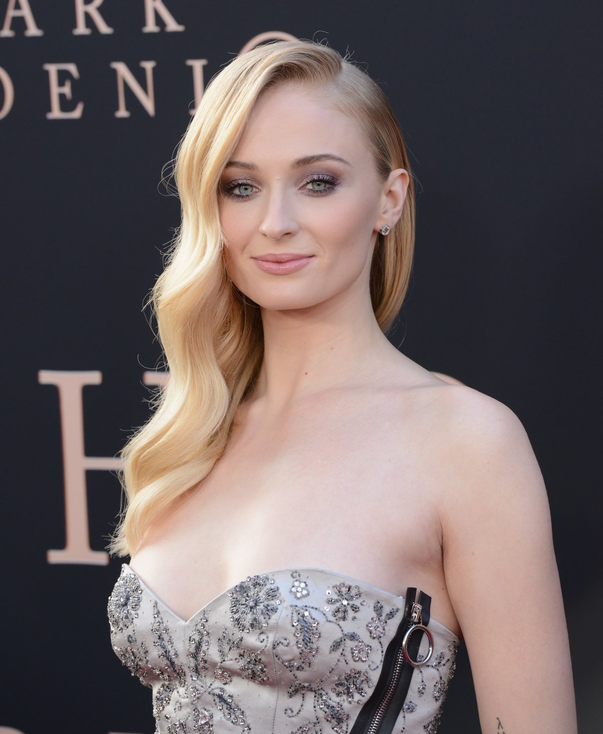 Sophie Turner entra no elenco de série animada do HBO Max sobre a família  real