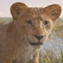 Mufasa (filhote) em Mufasa: O Rei Leão