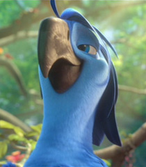 Rio 2, Dublapédia