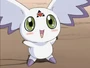 Culumon em Digimon Tamers
