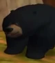 Tug-brother-bear
