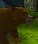 Kenai-brother-bear
