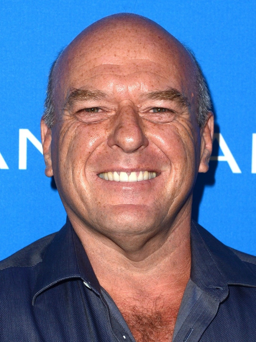 Dean Norris | Dublapédia | Fandom