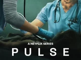 Pulso