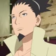 Shikamaru Nara (B-NoF)