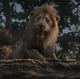 ChigaruMufasa