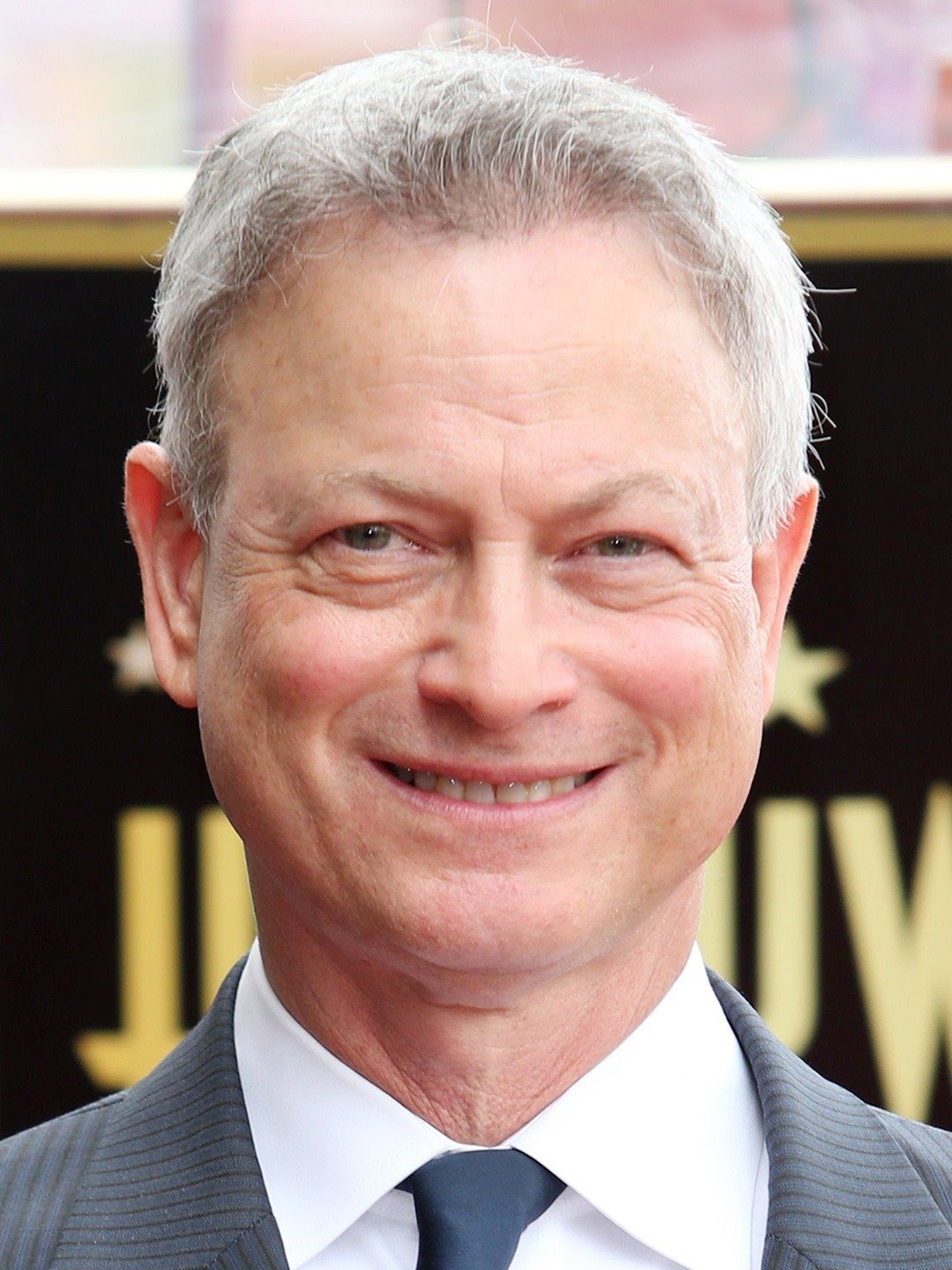 Gary Sinise Dublapédia Fandom