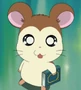 Aurélio.jpg (65 kB) Aurélio em Hamtaro