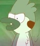 Mordecai mad