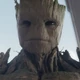 Groot (GdGV3)
