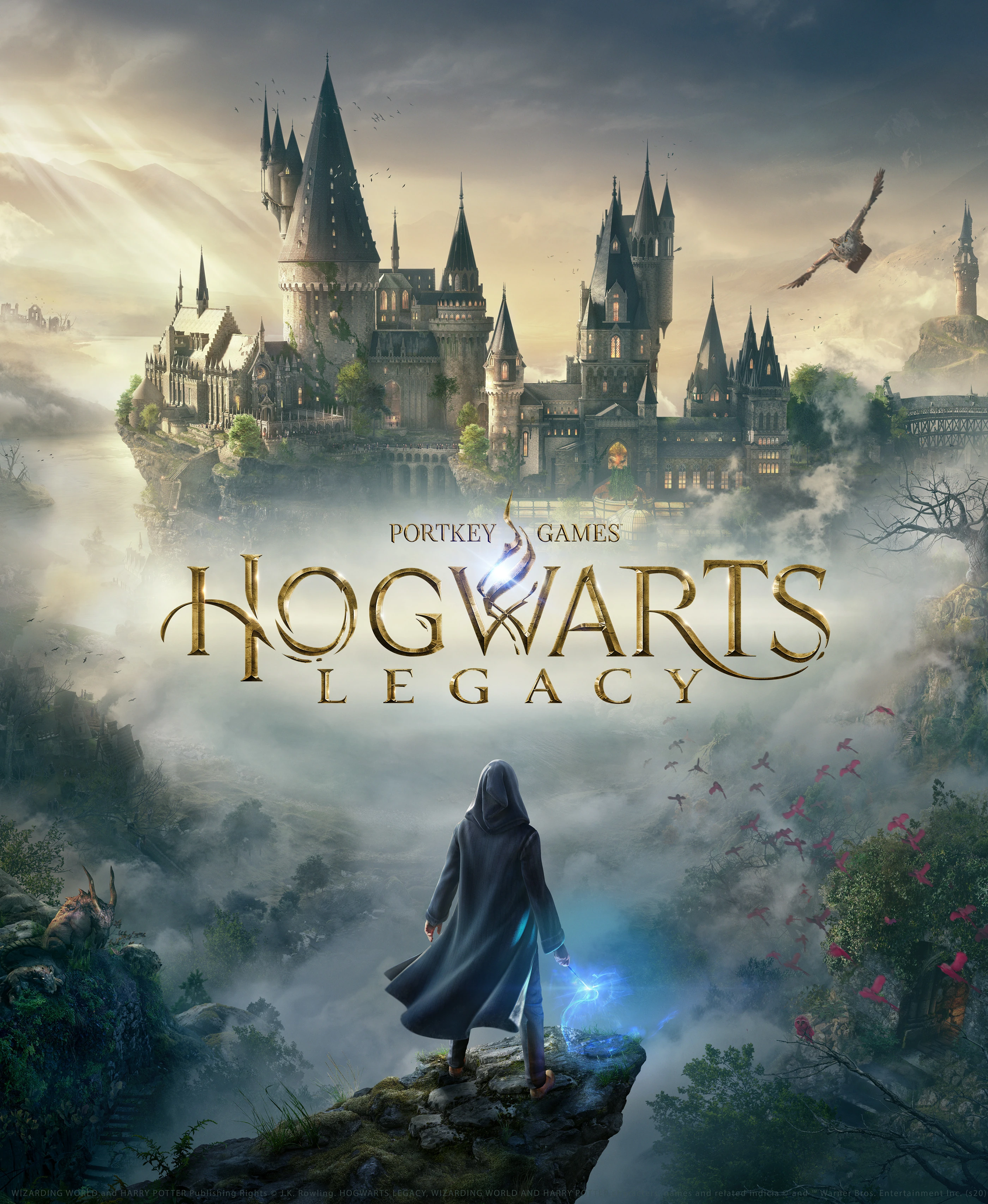 Hogwarts Legacy - Comunidade