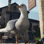 Sofia, a Gaivota em Pinóquio