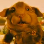 PI em Hamster Hammy e Sua Galera Animal