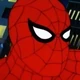 SNA-HombreAraña