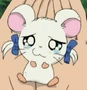 Bijou em Hamtaro