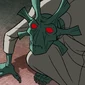 Duraak