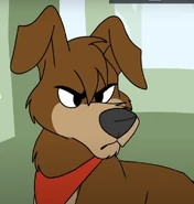 JT Dog em Good! O Bom Garoto JT é Um Super Héroi e Good! O Bom Garoto e a Espada dos Cavaleiros