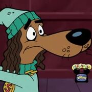 Scoobypadrinhos