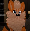 Kuramas-levi-the-king-fox-png