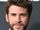 Liam Hemsworth