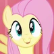 FIM Fluttershy